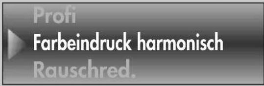 Profi Farbeindruck harmonisch Rauschred.