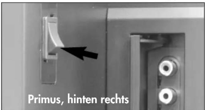 Primus, hinten rechts