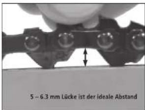 Hecht 927 R - D - 5