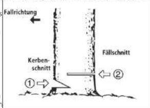 Hecht 927 R - FÄLLEN EINES BAUMES - 2