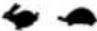 Hecht 3227 - SICHERHEITSSYMBOLE - 25