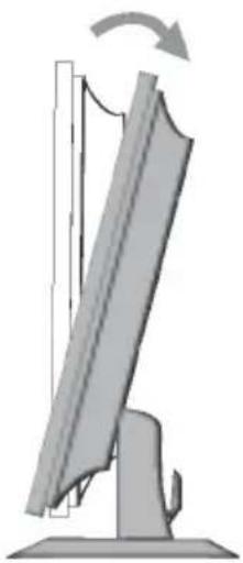 LG M1917TM - Positioning your display - 1