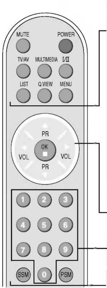 LG M1710A - [AV] - 1