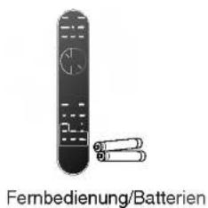 LG L3200APS - Entsorgung - 2