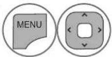 LG 32LD570 - Screen Components - 1