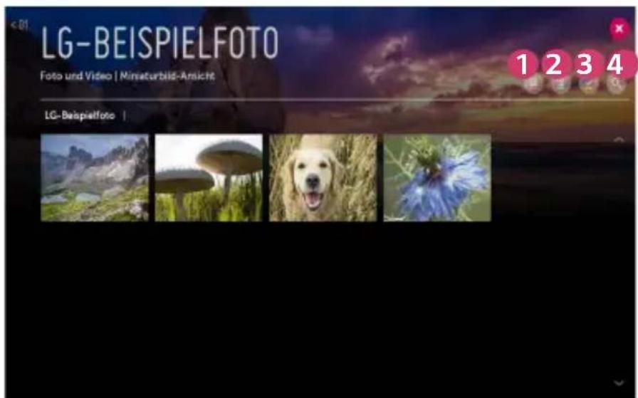 LG-BEISPIELFOTO Foto und Video | Miniaturbild-Ansicht LG-Beispielfoto | 1 2 3 4