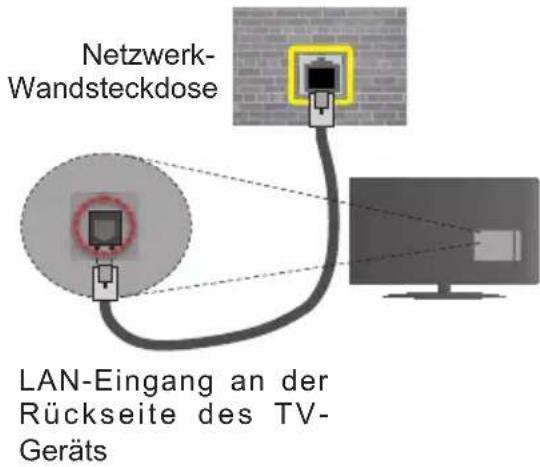 TOSHIBA 39L3663DA - Verbindung mit einem drahtgebundenen Netzwerk herstellen - 2