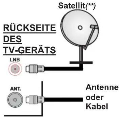 TOSHIBA 24DM763DG - Anschluss der Antenne - 1