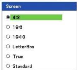 Screen 4:3 16:9 16:10 LetterBox True Standard