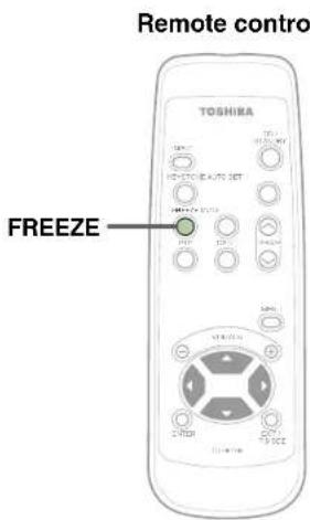 Remote contro TOSHILA FREEZE