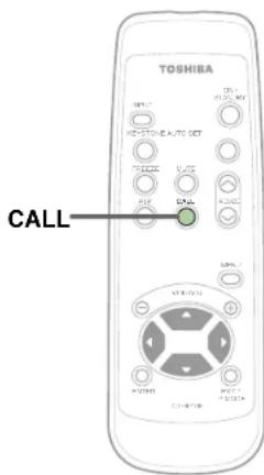 TOSHIBA CALL