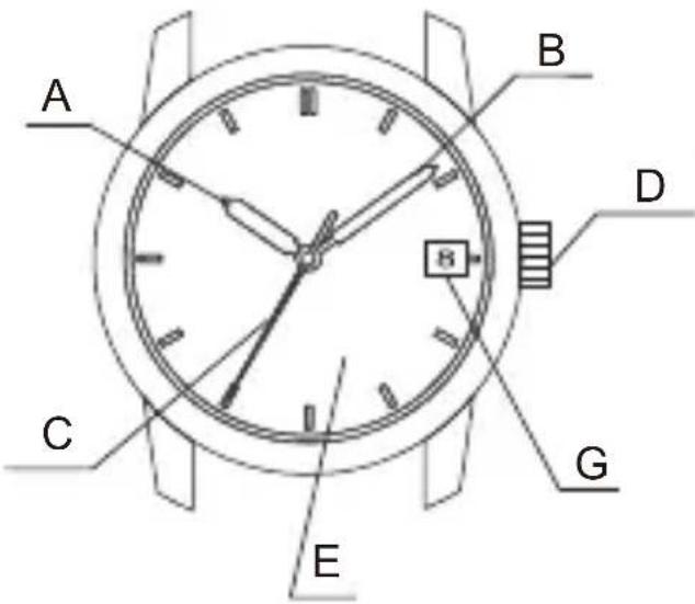 ORIENT Contemporary NR1N001W - ♦ NOME E FUNZIONI DELLE PARTI - 2