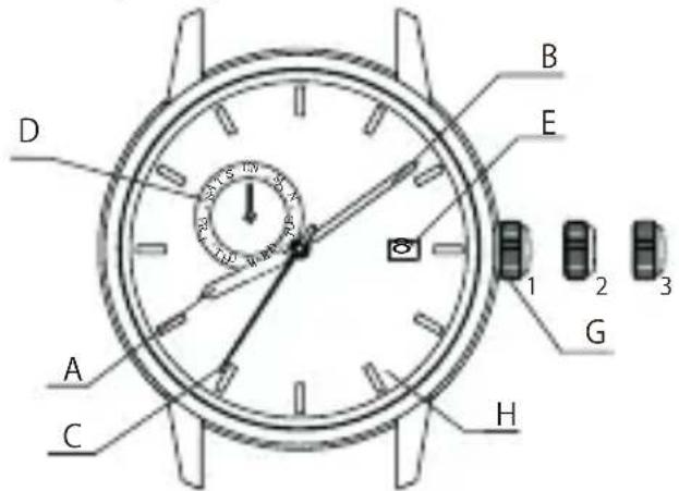 ORIENT Classic AK00002S - ♦ NAMEN UND FUNKTIONEN DER EINZELTEILE - 2