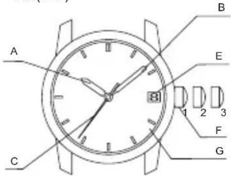 ORIENT Contemporary AG02003W - ♦ NOME E FUNZIONI DELLE PARTI - 2
