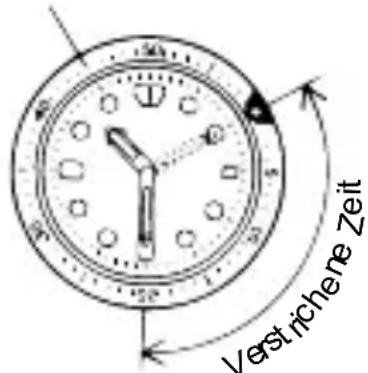 ORIENT Sports TW05004D - ◆ VERWENDEN DER EINER DREHBAREN ANZEIGE-LÜNETTE - 1