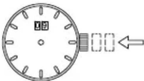 ORIENT Classic TV02001B - CAUTION - 3