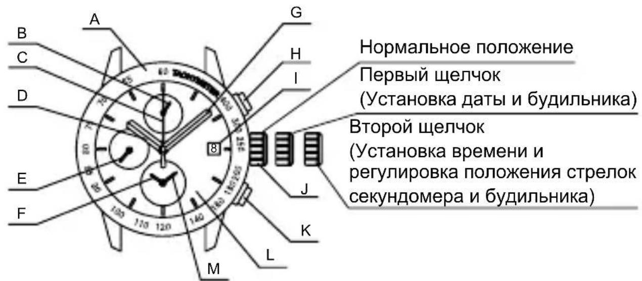 ORIENT Sports TD0T003D - ◆ НАЗВАНИЯ И НАЗНАЧЕНИЕ КОМПОНЕНТОВ - 1