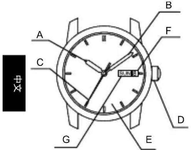 ORIENT Contemporary RF-QA0005L - <带日期指示的2或3针型> - 1