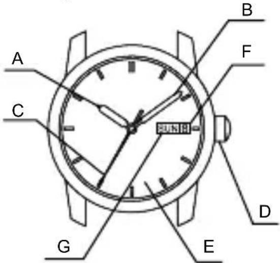 ORIENT Contemporary RF-QA0003G - <2- oder 3-Zeiger-Uhr mit Datumsanzeige> - 2