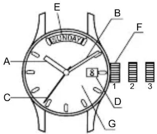 ORIENT Contemporary RA-AX0007L - ◆ 各部件名称及功能 - 1