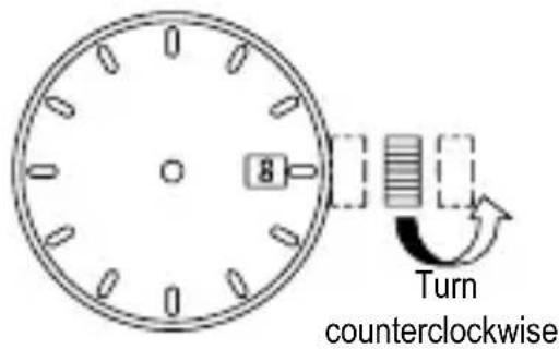 ORIENT Contemporary RA-AX0007L - CAUTION - 2