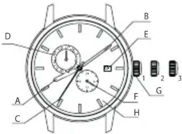 ORIENT Contemporary AL00005B - ◆ PARTES COMPONENTES Y SUS FUNCIONES - 1