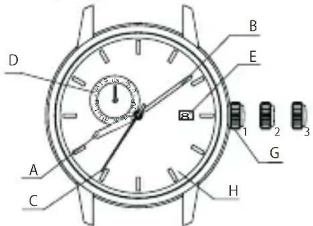 ORIENT Classic AK00003T - ◆ НАЗВАНИЯ И НАЗНАЧЕНИЕ КОМПОНЕНТОВ - 2