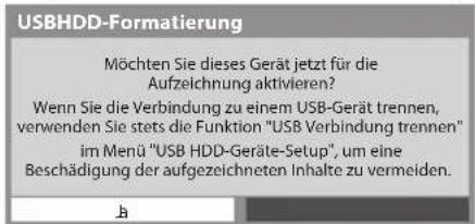 PANASONIC Viera TX-P42GTS31 - Bestätigung, um die USB-Festplatte für die Aufzeichnung zu aktivieren - 1