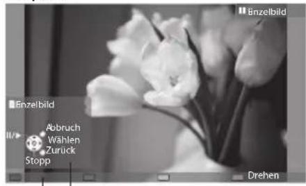 PANASONIC Viera TX-P42GTS31 - FürFotodateien - 1