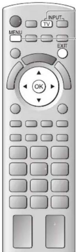 PANASONIC Viera TX-P42GTS31 - DVB-T-Programme oder analoge Programme - 1