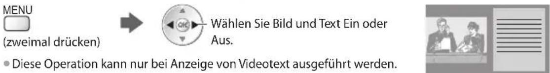 PANASONIC Viera TX-P42GT30J - Mehrbildanzeige - 1