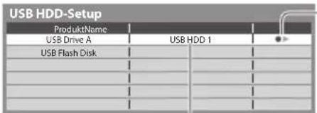PANASONIC Viera TX-P42GT30J - USB HDD-Formatierung - 2