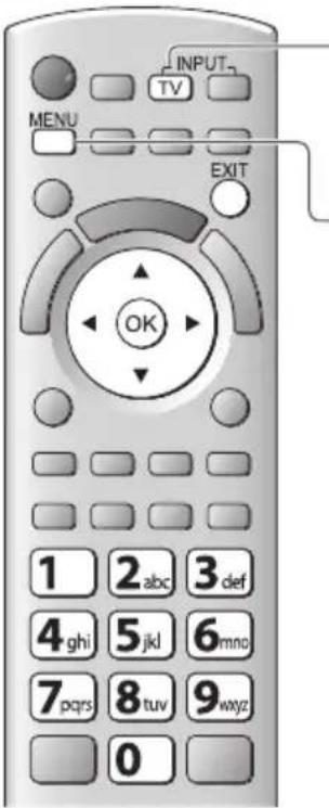 PANASONIC Viera TX-P42GT30J - Start Auto Setup (Die Einstellungen werden automatisch vorgenommen) - 4