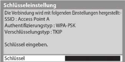 PANASONIC Viera TX-P42GT30J - Rufen Sie den Eingabemodus für den Verschlüsselungscode auf - 1