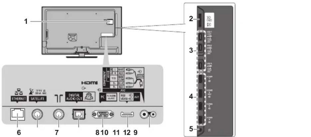 PANASONIC Viera TX-L42ETF52 - Grundlegende Anschlüsse - 1