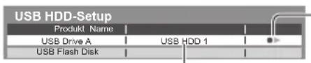 PANASONIC Viera TX-L42ETF52 - Bestätigung, um die USB-Festplatte für die Aufzeichnung zu aktivieren - 3