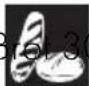 SMEG CPF9GPRD - Voreingestellte Parameter - 4