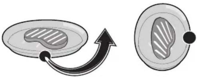 SMEG SF4309MXK - "Turn" procedure - 3