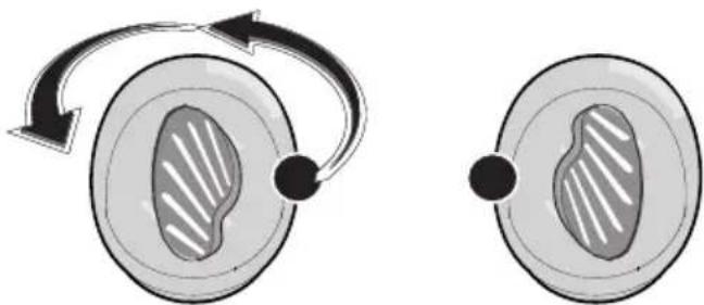 SMEG SF4309MXK - "Turn" procedure - 6