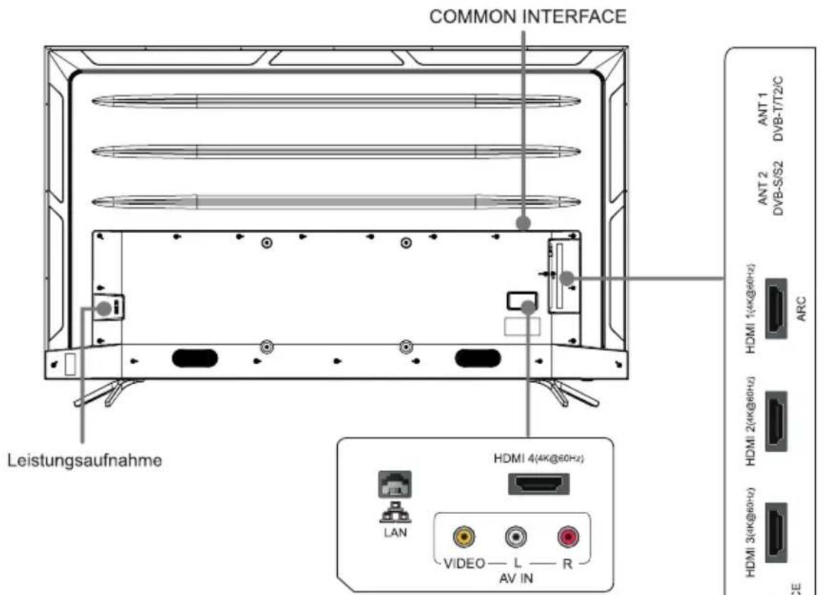 HISENSE H75BE7410 - Rückseite des Gerätes - 1
