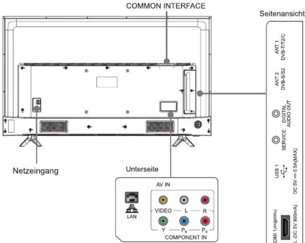 HISENSE H65N5755 - Rückseite des Gerätes - 1