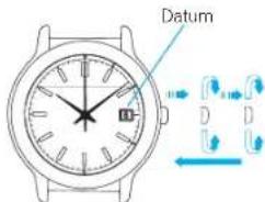 SEIKO Prospex SNE543P1 - - Modelle mit Datumsanzeige - 1
