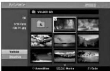 File Paste VOLUME 63 10 1/16 Fats File 11.jpg Youtube Default © Annotation USSAI Marks F1 Code