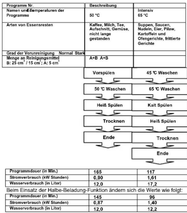 TECHWOOD EGS 60 SC1154 - DIE BESCHREIBUNG DER PROGRAMME - 1