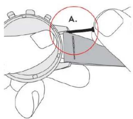 Triwa Skala - CHANGE STRAP - 2