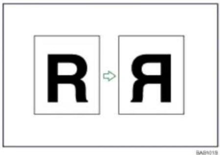 R A BAS019