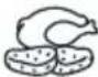 WHIRLPOOL MWPN 3391 - Tipps und Empfehlungen: - 4
