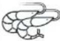 WHIRLPOOL MWPN 3391 - Tipps und Empfehlungen: - 47
