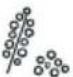 WHIRLPOOL MWPN 3391 - Tipps und Empfehlungen: - 91