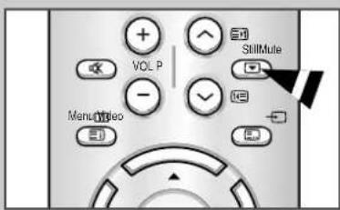 SAMSUNG SP43W6HF - Aktuelles Bild einfrieren - 2